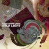 <span class="hide-the-artist">65daysofstatic<br></span>Wild Light