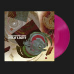 <span class="hide-the-artist">65daysofstatic<br></span>Wild Light