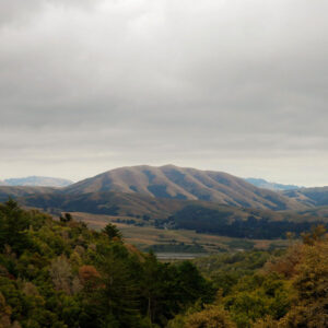 <span class="hide-the-artist">Björk - Dirty Projectors<br></span>Mount Wittenberg Orca