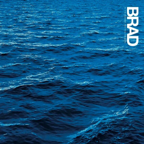 <span class="hide-the-artist">Brad<br></span>In The Moment That You're Born