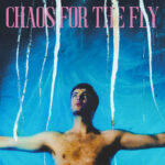 <span class="hide-the-artist">Grian Chatten<br></span>Chaos For The Fly