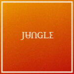 <span class="hide-the-artist">Jungle<br></span>Volcano