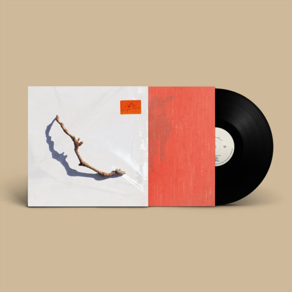 <span class="hide-the-artist">PJ Harvey<br></span>I Inside The Old Year Dying