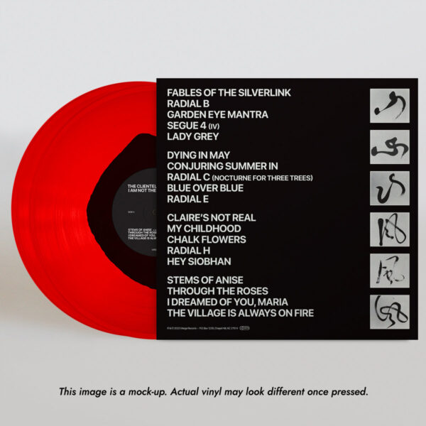 <span class="hide-the-artist">The Clientele<br></span>I Am Not There Anymore