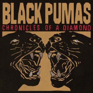 <span class="hide-the-artist">Black Pumas<br></span>Chronicles Of A Diamond