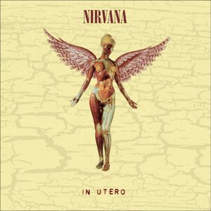 <span class="hide-the-artist">Nirvana<br></span>In Utero (30th Anniversary Edition)