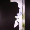 <span class="hide-the-artist">Paul Weller<br></span>Wild Wood