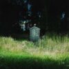 <span class="hide-the-artist">Frank Carter & The Rattlesnakes<br></span>Dark Rainbow