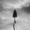 <span class="hide-the-artist">Manchester Orchestra<br></span>A Black Mile to the Surface