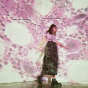 <span class="hide-the-artist">Soccer Mommy<br></span>Sometimes, Forever