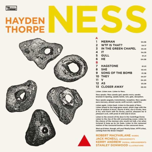 <span class="hide-the-artist">Hayden Thorpe<br></span>Ness