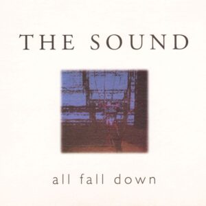 <span class="hide-the-artist">The Sound<br></span>All Fall Down