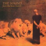 <span class="hide-the-artist">The Sound<br></span>From The Lions Mouth