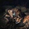 <span class="hide-the-artist">The Weather Station<br></span>Humanhood