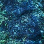<span class="hide-the-artist">Ichiko Aoba<br></span>Luminescent Creatures