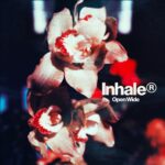 <span class="hide-the-artist">Inhaler<br></span>Open Wide