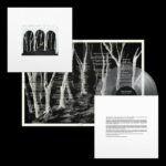 <span class="hide-the-artist">These New Puritans<br></span>Crooked Wing