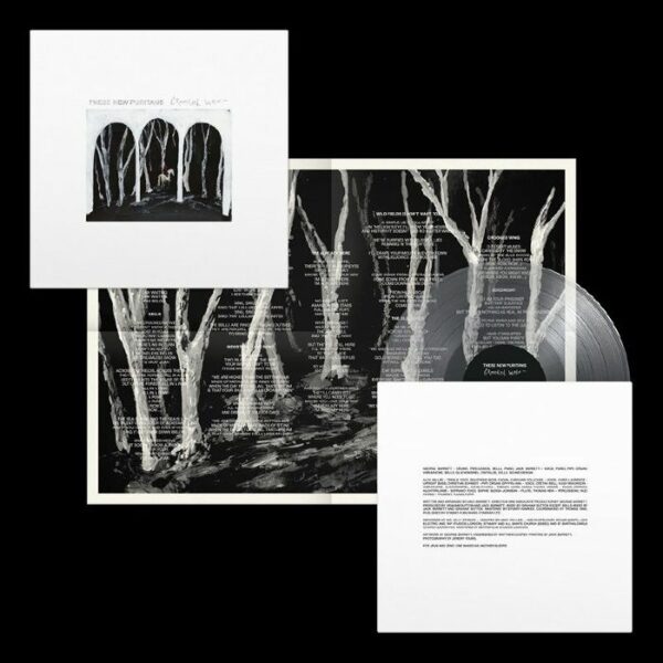 <span class="hide-the-artist">These New Puritans<br></span>Crooked Wing