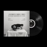 <span class="hide-the-artist">Andrew Bird Trio<br></span>Sunday Morning Put-On