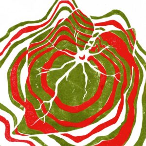 <span class="hide-the-artist">Hotline TNT<br></span>Raspberry Moon