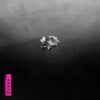 <span class="hide-the-artist">Little Simz<br></span>Lotus