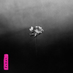 <span class="hide-the-artist">Little Simz<br></span>Lotus